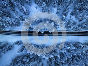 Aerial view of mountain road in fairy forest in snow in winter