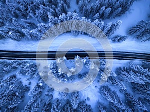 Aerial view of mountain road in fairy forest in snow in winter