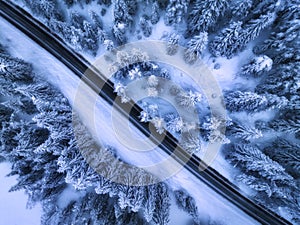 Aerial view of mountain road in fairy forest in snow in winter