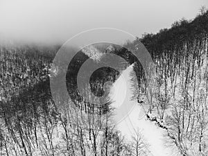 Aerial view of a mountain road in the middle of forest covered by snow