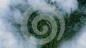 Aerial view of the mountain road, the street from above through a misty forest at rainy season, aerial view flying through the