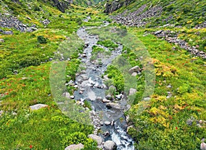 Aerial view mountain stream with colourful stones. Flowing river with smooth stones. Spring water running through different stones