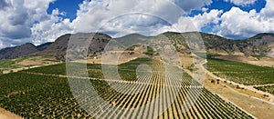 Aerial view of mountain vineyard in Crimea