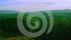 Aerial view on mountains coniferous trees