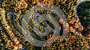 Aerial view of moving trucks on curvy road. Transportation concept