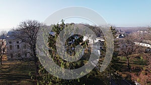 Aerial view. Moving up near a pine tree of the Vyshnivets Palace, Ukraine, in autumn. Picturesquere therritory.