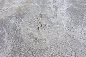 Aerial view of mudcracks