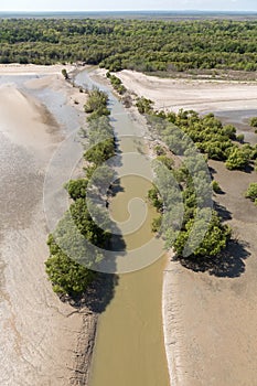 Aerial view of the mudflat coastline at low tide with coastal river winding and mangroves photo