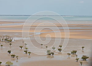 Aerial view of the mudflat coastline at low tide with mangroves photo