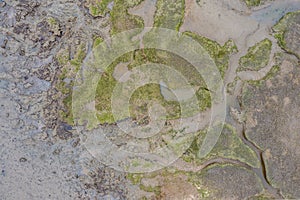 Aerial view of mudflats at low tide