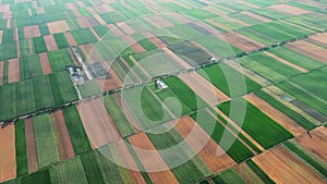 Aerial view on multicolor agriculture fields