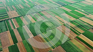 Aerial view on multicolor agriculture fields