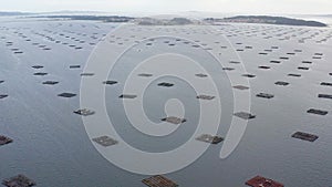 Aerial view of mussels farming in the Spanish coast of Pontevedra.