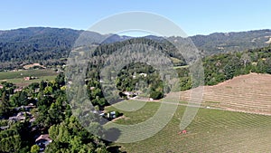 Aerial view of Napa Valley vineyard landscape