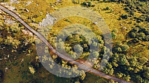 Aerial view of narrow road.