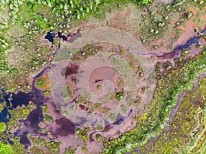 Aerial view on natural swamp from above, wild nature background - Karelia region