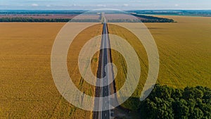Aerial view nature landscape in summer. Drone shot new road field wheat and corn