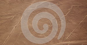 Aerial view of the Nazca Lines - Monkey