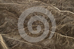 Aerial view Nazca Lines of the Monkey, Peru.