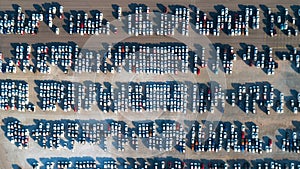 Aerial view new car lined up in the port