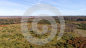 An aerial view of the New Forest with heartland, forest and wild vegetation with beautiful autumn colors under a majestic blue sky