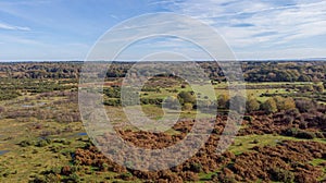 An aerial view of the New Forest with heartland, forest and wild vegetation with beautiful autumn colors under a majestic blue sky