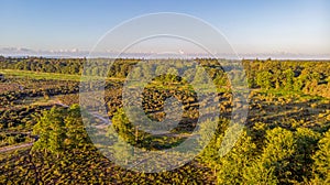 An aerial view of the New Forest with heartland, trees at golden hour under a majestic blue sky and white clouds