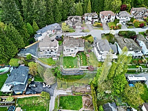 Aerial view of numerous houses with green lawns photo