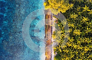 Aerial view at ocean and palms. Turquoise water background from top view. Summer seascape from air. Bali island, Indonesia.