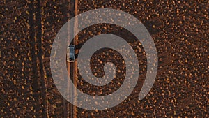 Aerial view off road 4x4 car driving along dirt road among the desert. Beautiful wild road in the desert at sunset. Road