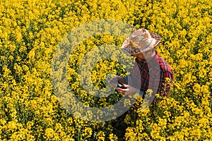 Aerial view of oilseed rape farmer using drone remote controller