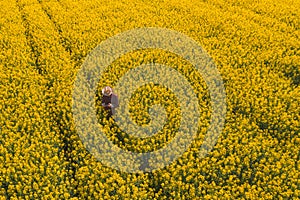 Aerial view of oilseed rape farmer using drone remote controller