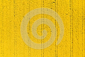 Aerial view of oilseed rape field in bloom