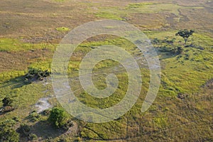 Aerial view on the Okavango Delta with animal tracks, bushes and trees