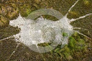 Aerial view of the Okavango Delta, Botswana