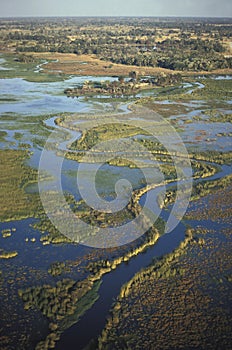 Aerial view, Okavango delta, Botswana.