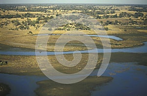 Aerial view, Okavango delta, Botswana.