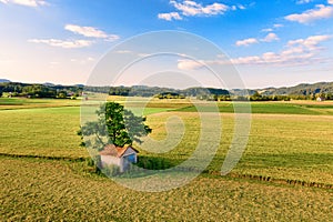 Aerial view of Old barn with damaged, collapsed roof under a large tree in rural landscape