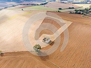 Aerial view of old farmer`s hut and lone tree
