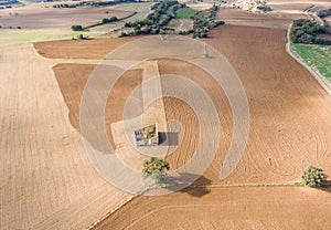 Aerial view of old farmer`s hut and lone tree