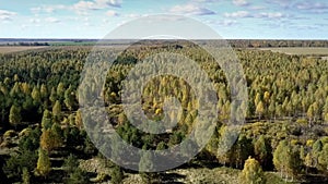 Aerial view old wood against boundless sky with clouds