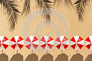 Aerial view of one sunbed, umbrellas, shadow of a palm tree branch on sandy beach. Summer and travel concept. Minimalism.