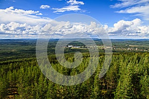 Aerial View out over the forest from the top of the Mejdasens observation tower