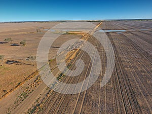 Aerial view of Outback Cattle mustering