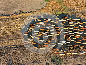 Aerial view of Outback Cattle mustering photo