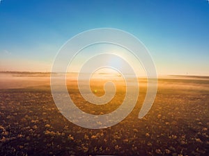 Aerial view over agricultural agronomy fields of wheat plants, beautiful sunrise in the countryside with morning fog