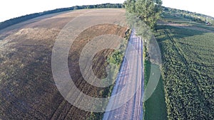 Aerial view over beautiful summer morning rural road and trees