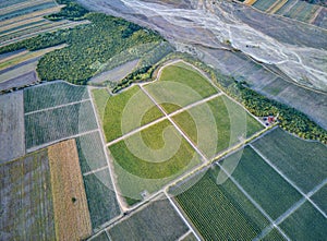Aerial view over big vineyard in Panciu wine region, Romania