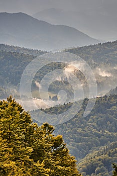 Aerial view over the Carpathians Mountains in Romania