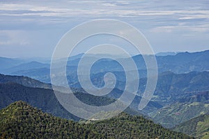 Aerial view over the forests on the mountains of San Jose del Pacifico photo